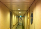 oasis of the seas - 021  the halls were LONG!
